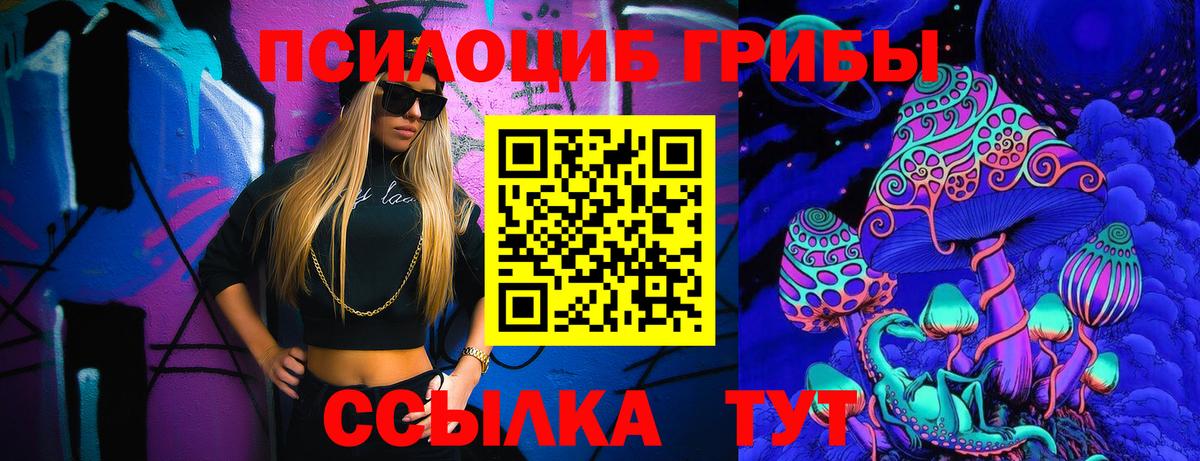 Майкоп  как найти наркотики  Вход с VPN  Галлюциногенные грибы Psilocybine cubensis 